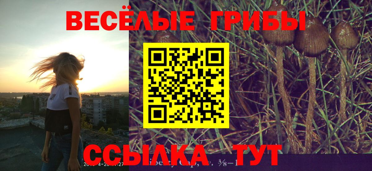 Галлюциногенные грибы Magic Shrooms Кемерово